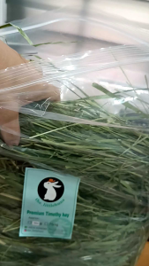 Premium Timothy Hay FRESH - Oven dried 💦 💦 for Guinea pigs bunny Chinchilla small pet (烘干提摩西)