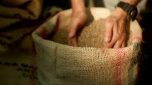 Honey Brown Mellet Kafa Fa Pangkhon - Pangkhon, Changrai Klaw Pung, Klaw Long / Klaw Kham, คั่วอ่อน คั่วกลาง / คั่วเข้ม