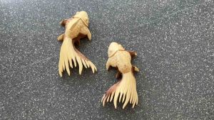 ปลาไม้แกะสลัก ปลาทอง สีเนื้อไม้ ธรรมชาติ แต่งผนัง มีตะขอ ขนาด M 15x30x8cm ติดผนัง ไม้เนื้อแข็ง งานทำมือ Carved Wood Gold Fish in Natural Color Size M