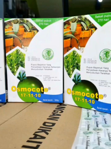 1 Dus Besar Pupuk Bonsai Tanaman Hias Dekastar/Osmocote kemasan 500 gram isi 24 Bungkus