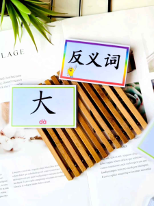 Chinese Flash Cards – 20 Themes | Picture & Word Separated | Preschool Learning | Kad Imbas Cina