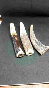 once padutan tanduk RS asli h103