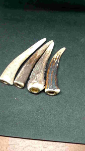 Cangklong Tanduk RS Minimalis 8-10cm