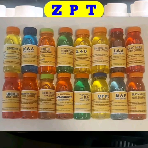 ZPT 6BAP kelompok Hormon sitokinin untuk membuat banyak tunas rimpang dan tunas samping 100ml 500ppm