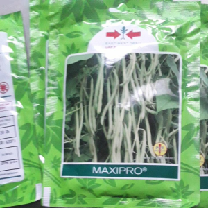 Benih Bibit Buncis MAXIPRO/Bibit unggul isi  225 biji