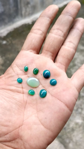natural bacan