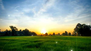 T&l Yogifruit Bite Mixeb Fruit&Yogurt Cereal 500g/ 混合水果酸奶麥片 500克