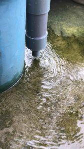 Bộ overflow chống tràn cho hồ lọc dưới và tự động ngắt giải pháp cho hồ lọc trên không cần khoang đáy hồ
