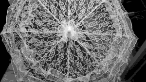 Lace Wedding Shooting Parasol Umbrella Lady Party Decoration Photo Props New /Rolan Bridal Lace Cotton Umbrella For Wedding Parties.