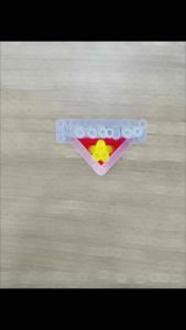 Logo Thanh Niên Việt Nam Thêu Sẵn ủi lên áo mũ nón balo (đã có keo sẵn)