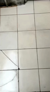 Sonic Cleaner Clean is Easy Pembersih Toilet/Wastafel/Lantai Kamar Mandi