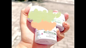 Day Cream Acne Orlinbeauty Skincare BPOM: Krim Anti Acne