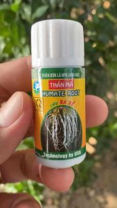 Combo 3 ống Siêu kích rễ giúp cây ra rễ mạnh bung tược mập tược ống 20ml