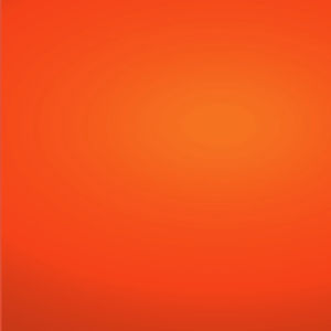 Bobs Red Mill Tapioca Flour (Tapioca Starch) 454g | แป้งมันสำปะหลัง | Sunshine Market