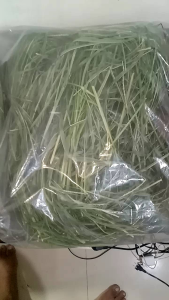 SUPER NAPIER GRASS / DRY/ REPACK 500GRAMS/1KILO/ BEST FOOD FOR RABBIT/HAMSTER / COW/HORSE/ GUENIAS / GOAT/ ETC