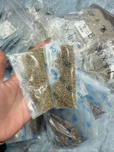 Sét ốc đít iPhone số lượng 100c mã x/14promax màu vàng