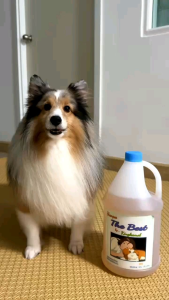 แชมพูสุนัขและแมว The Best by Kingkamol ขนาด1000มล.มีค่า pH ที่เหมาะสมกับสภาพผิวสุนัขตามธรรมชาติ ไม่ก่อให้เกิดความระคายเคือง ปลอดภัยกับผู้ใช้และสัตว์เลี้ยง เหมาะสำหรับสุนัขทุกสายพันธุ์ เพิ่มความหอมสดชื่นให้เส้นขนพร้อมบำรุงเส้นขน