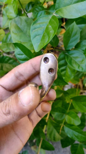 Kapstok Kuningan Antik Gantungan Baju Motif Tunggal Tanggung 1 Pcs