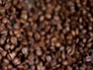 1KG BUBUK KOPI HITAM ROBUSTA ARABICA KOPI LASEM KOPI LAMPUNG KOPI JOLLONG KOPI SOKA KOPI GAYO