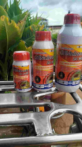 สไปโรไดโคลเฟน ขนาด 250ซีซี 24% ป้องกันและกำจัดไรแดง แมงมุมแดง ไรขาวพริก ไรสองจุด เพลี้ยแป้ง เพลี้ยหอย เพลี้ยอ่อน แมลงหวี่