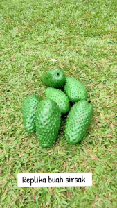 Replika Buah Sirsak: Dekorasi Meja Makan & Edukasi Anak