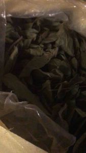 1kg khô Trả Bòn Bọt ( cây bọt cua ) dùng cho người đại tràng kém  viêm phù thận  mát gan