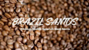 Brazil Santos Coffee Beans 250g / 500g / 1kg | Nutty & Sweet | Fresh Roast | Riee Roastery