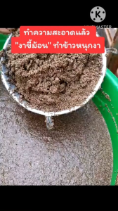 #งาขี้ม้อน #งาขี้ม้อนภาคเหนือ ขนาด 200 กรัม ปลูกธรรมชาติ งาใหม่ หอม อร่อย