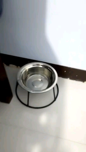 Elevated Dog Bowl / Dog Feeder - Large Size - 22cm