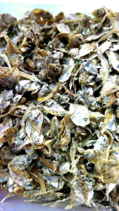 Ikan asin PETEK super KECIL / pirik / dokdok 1kg super kering garing paling murah
