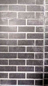 SEKOP PASIR KOTORAN KUCING ANABUL