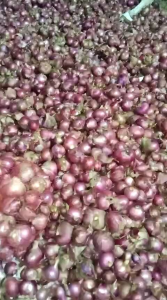 Bawang Merah Garut Berkualitas Tinggi 1kg