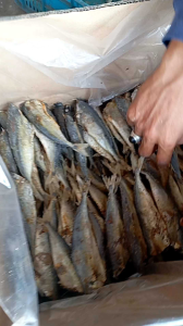 PROMO!!! ikan asin peda layang PK / KLOTOK PK SUPER