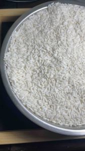 [ขนาด 14 กิโลกรัม] ข้าวเหนียวสันป่าตองใหม่ ตรา ช้างทอง ข้าวเหนียวเขี้ยวงูใหม่ 68/69 หอม นุ่ม เหนียวกำลังดี พร้อมส่ง