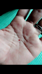 Batu Mustika Lipan Original