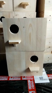Standard lovebird nestbox size 8x8x10 inches