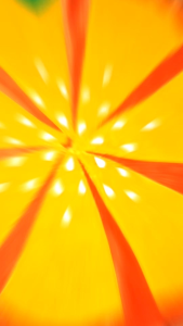 NUTRITION MONTH COSTUMES