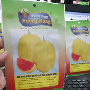 hạt giống dưa hấu vỏ vàng ruột đỏ - dưa hấu hoàng kim gói 1gram