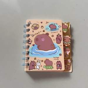 Buku Diary Spiral Kecil A7 Capybara 8810 Indeks Pembatas /Sanrio Kuromi 8110