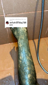 สบู่แฟรรี่ สครับกลูต้าแฟรรี่ สบู่สครับผิวกาย สบู่เพื่อผิวสวย เผยผิวกระจ่างใส ขนาด 50 กรัม