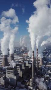 Propectin Pharmaceutical-Grade Apple Pectin detoxification