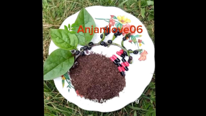 Kapsul Buah Angkung Kering isi 3  kapsul