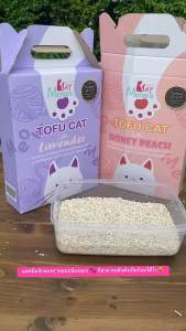 Catmemes ทรายมีมส์เต้าหู้พรีเมี่ยม กลิ่นลาเวนเดอร์ 6L