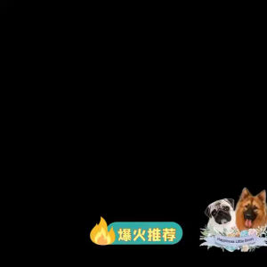 Handmade Pet snacks chicken Duck Meat Wrapped Milk Bone Biscuits For dogs cat Calcium Supplement纯手工宠物狗狗鸡肉鸭肉钙小骨羊奶棒饼干