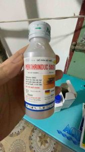 [PHÒNG SỐT XUẤT HUYẾT] Thuốc diệt muỗi tận gốc Perthrinduc 505ec - CHLB Đức diệt muỗi và côn trùng hiệu quả