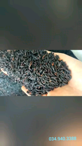 1kg Gạo lứt đen dẻo Điện Biên loại ngon ship rẻ