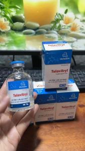 Tulavitryl 20ml - các bệnh đường hô hấp trên trâu bò heo dê cừu