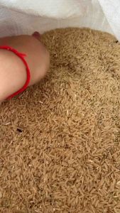 ข้าวกล้องเจ้ามะลิ