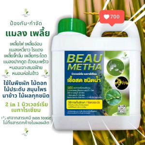 บิวเวอร์เรีย เมธาไรเซียมขนาด 1 ลิตร กำจัดเพลี้ย แมลง หนอน ไร้สารเคมี ชีวภาพ พืชผัก ผลไม้ ข้าวโพด แตงกวา นาข้าว สวนครัว ผักสลัด เคล กุหลาบ ไม้ดอก ทุเรียน