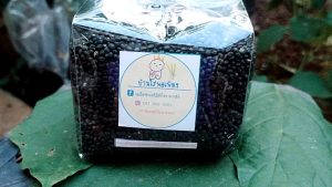 เมล็ดหน่อไม้ฝรั่งพันธุ์บล็อคอิมพรู๊ฟ ขนาด500กรัม